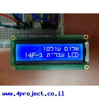 LCD טקסט 16x2, לבן על כחול, 5V, עברית צרובה